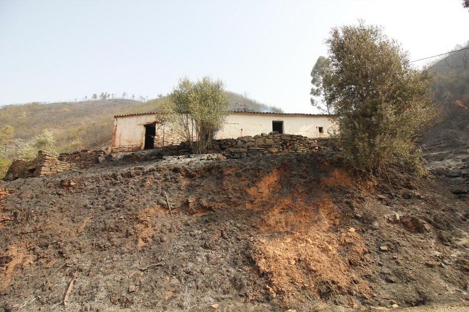 2018-08-04_14_29_34 M2-16622554.JPG