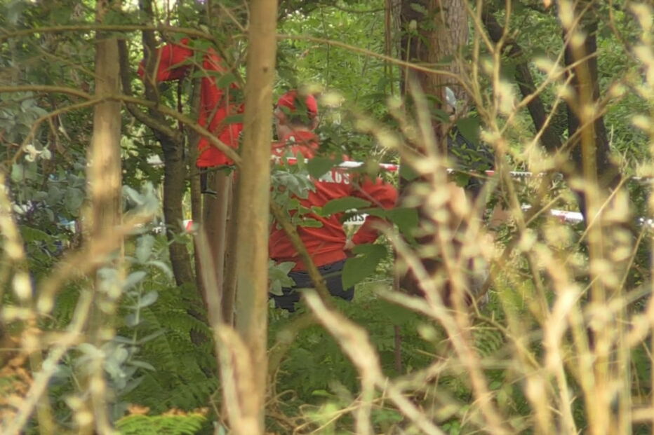 Cadáver encontrado em Famalicão