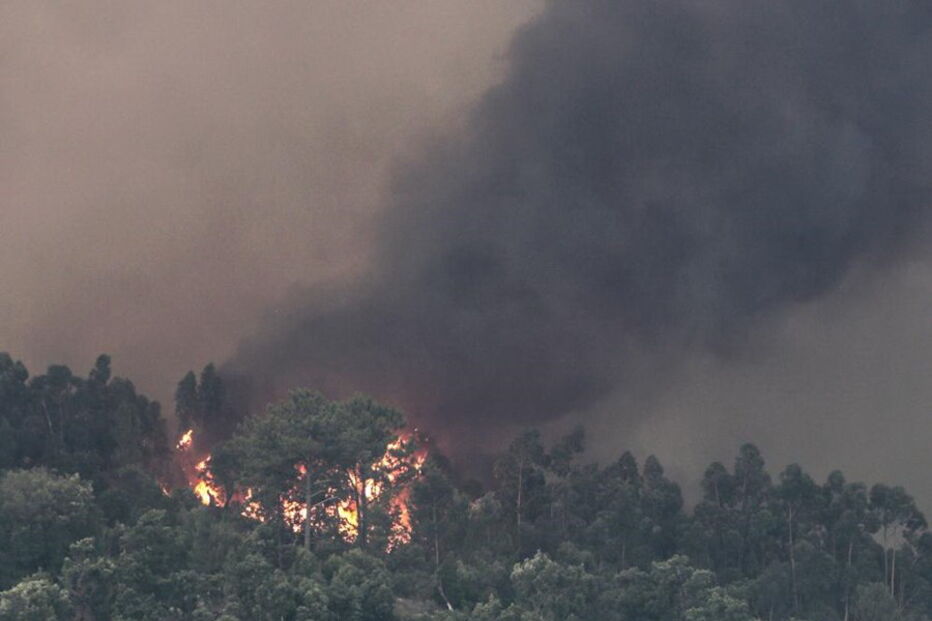 O inferno das chamas de Monchique que chegaram à vila