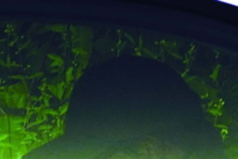 Homicida, escavações, João Paulo Azevedo, famalicão, homicida, confessa