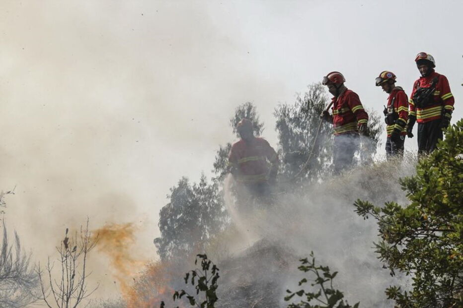 O rasto de destruição deixado pelas chamas em Monchique