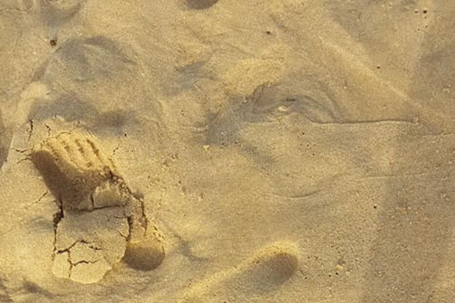 Vídeos mostram lixo em praias e ruas de Cascais