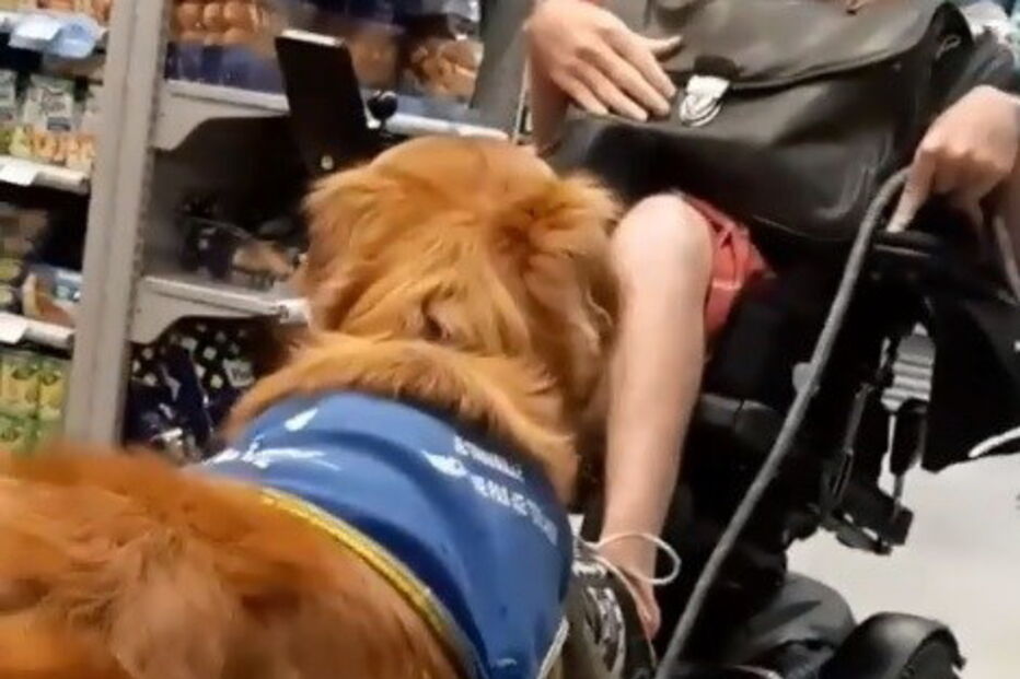 Jovem deficiente expulso de supermercado por causa do cão guia