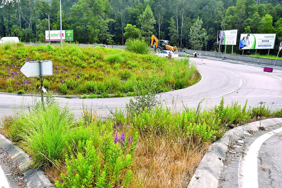 Vila Nova de Famalicão exige limpeza de bermas das estradas nacionais 