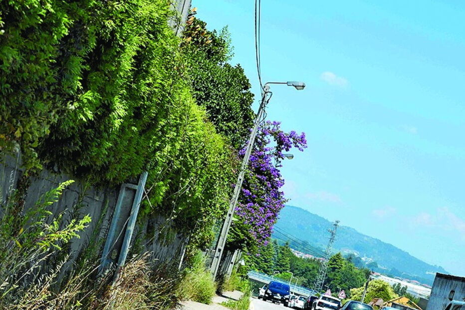 Vila Nova de Famalicão exige limpeza de bermas das estradas nacionais 