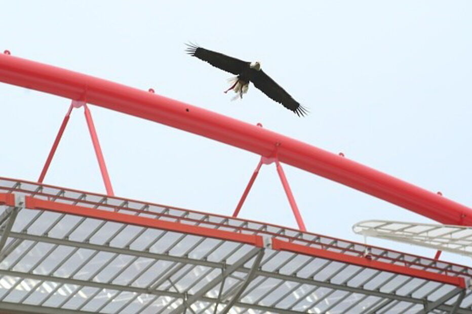 Estádio da Luz tem capacidade para receber cerca de 65.000 adeptos
