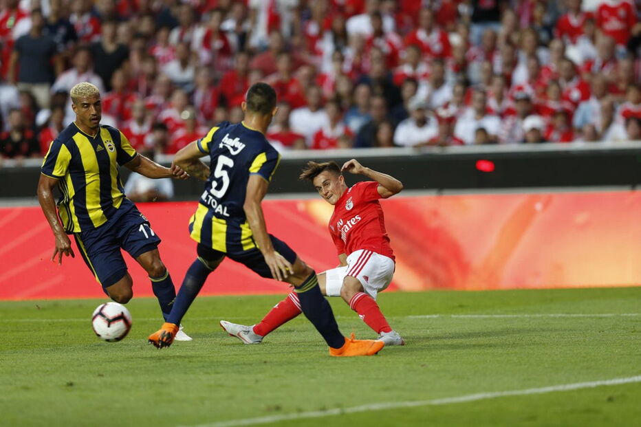 2018-08-07_20_32_21 cervi.jpg