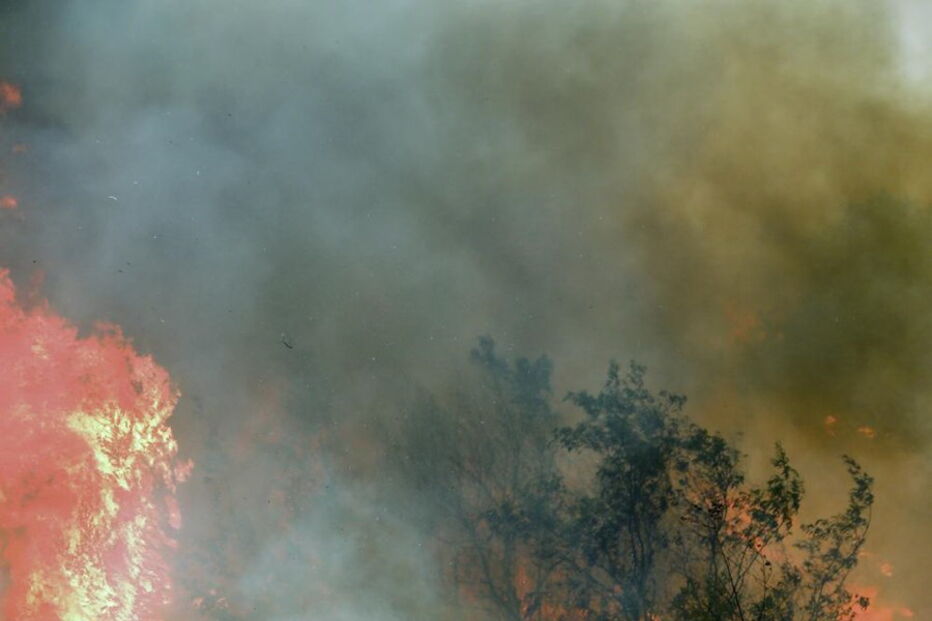 Fogo em Monchique não dá tréguas a populares e bombeiros