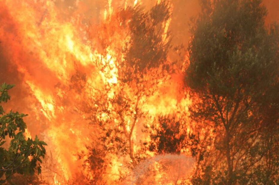 Fogo em Monchique não dá tréguas a populares e bombeiros