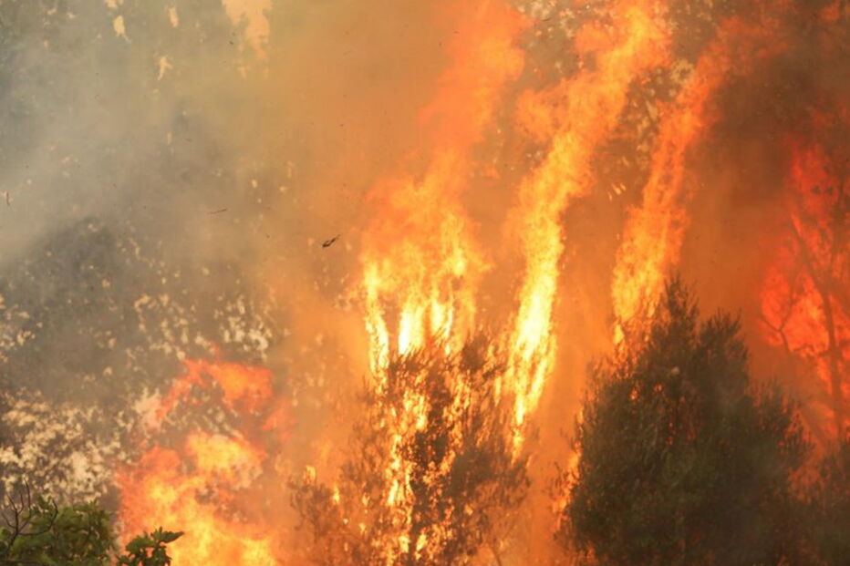 Fogo em Monchique não dá tréguas a populares e bombeiros