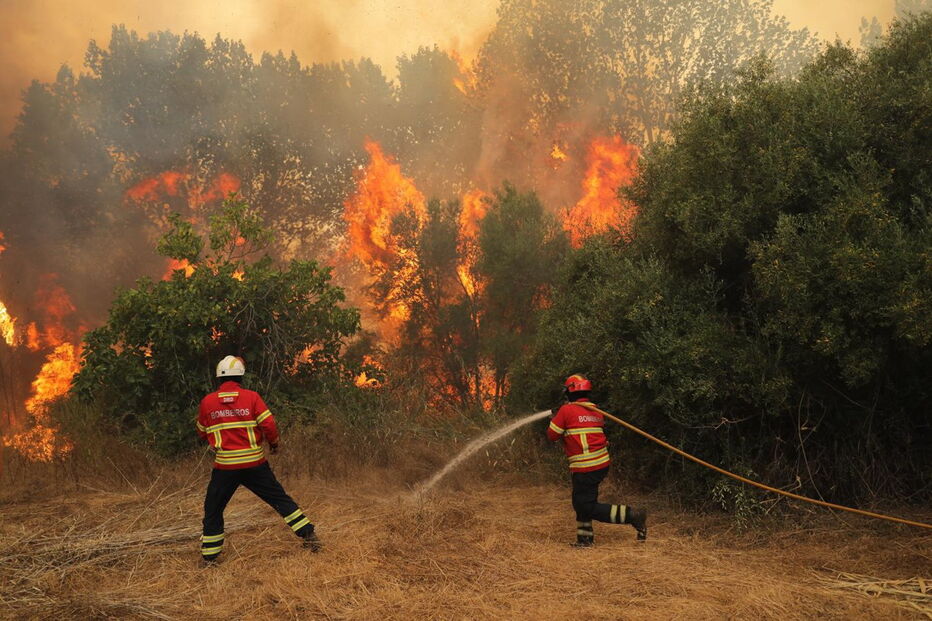 Fogo em Monchique não dá tréguas a populares e bombeiros