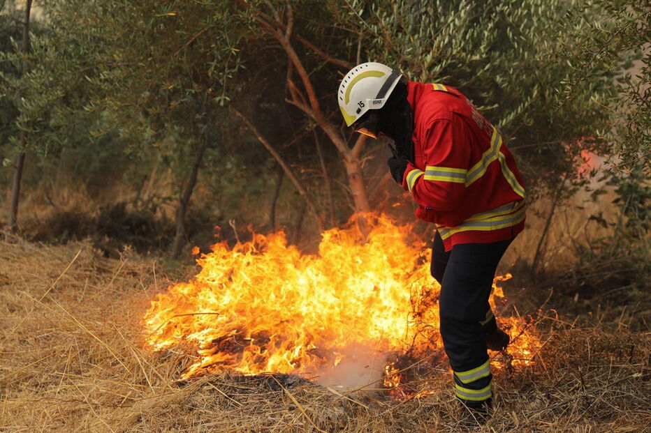 Fogo em Monchique não dá tréguas a populares e bombeiros