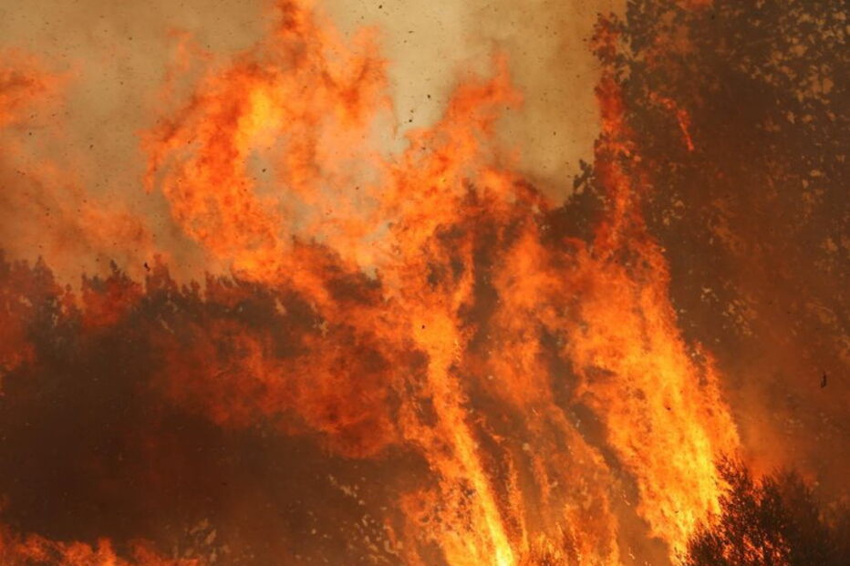 Fogo em Monchique não dá tréguas a populares e bombeiros