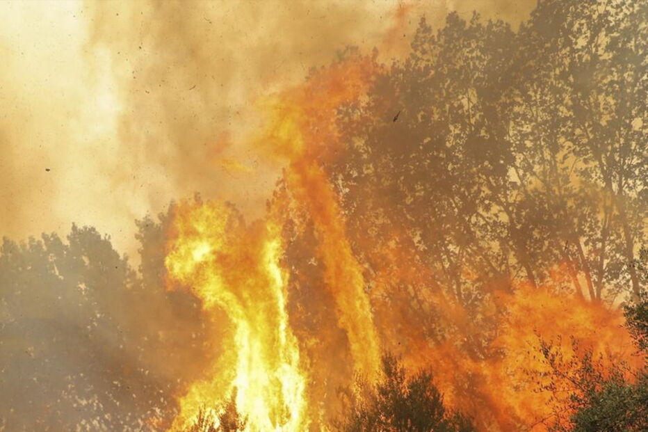 Fogo em Monchique não dá tréguas a populares e bombeiros