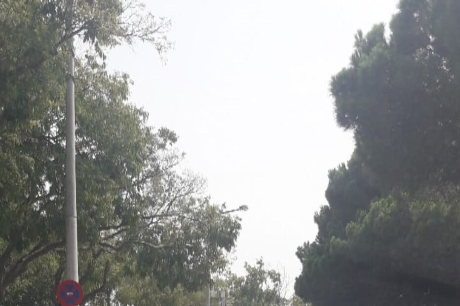 Casamento de Helga Posser