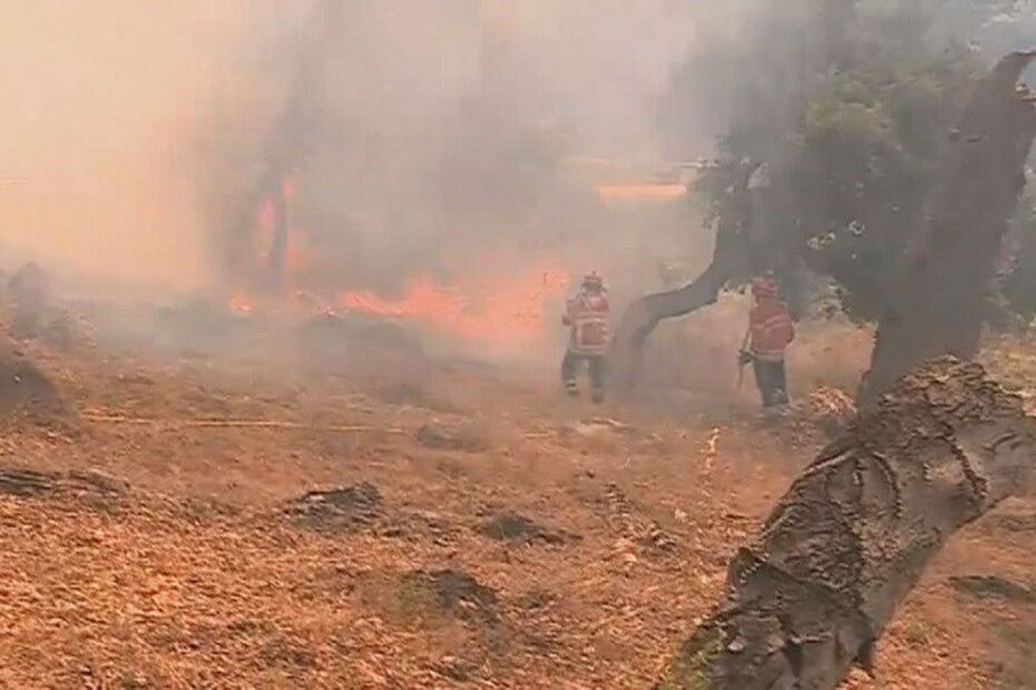 bombeiros, incêndios,Monchique