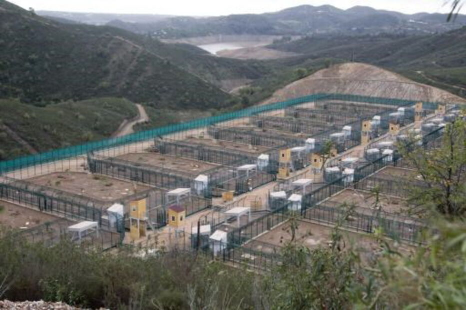  Centro Nacional de Reprodução do Lince Ibérico, em Silves