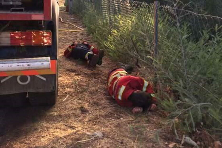 Imagens mostram bombeiros a dormir no mato fruto de excesso de cansaço