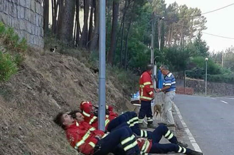 Imagens mostram bombeiros a dormir no mato fruto de excesso de cansaço