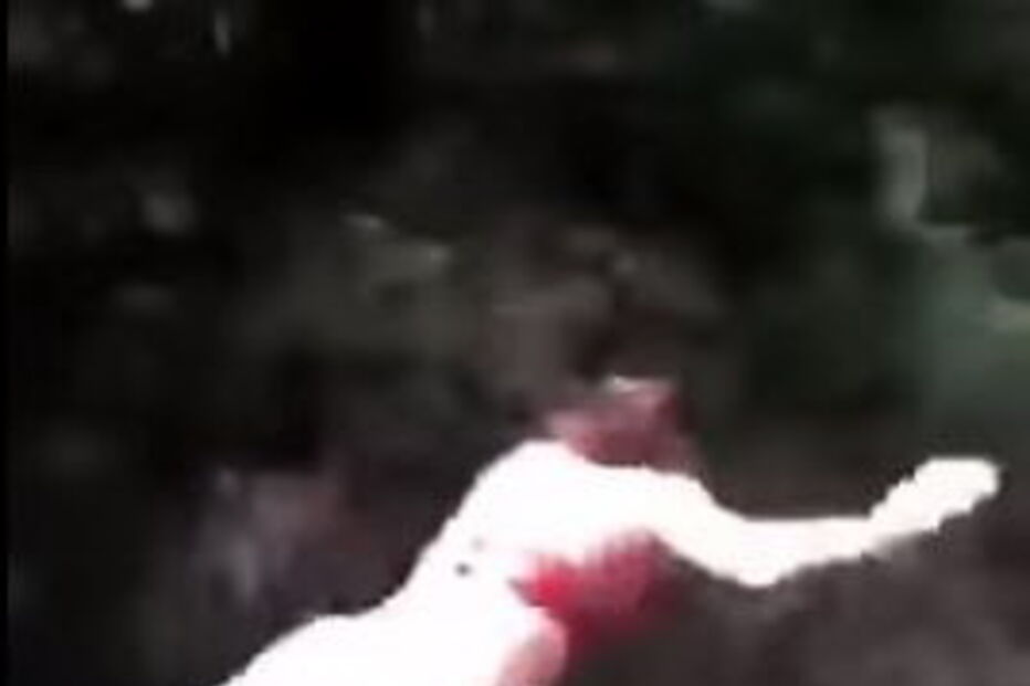 Jovem é atirada de uma ponte por amiga 