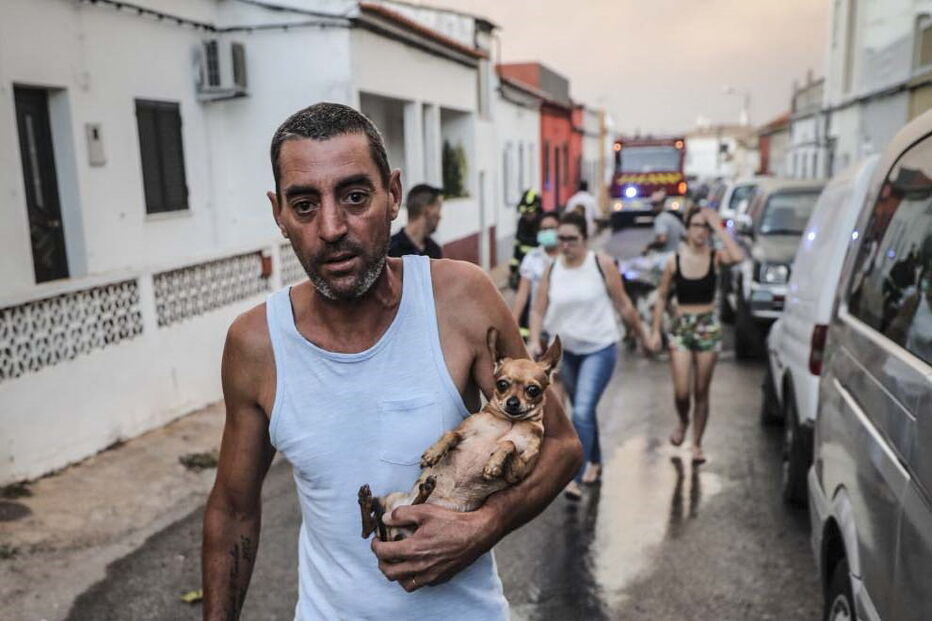 2018-08-09_12_51_24 imgpsh_fullsize.jpg