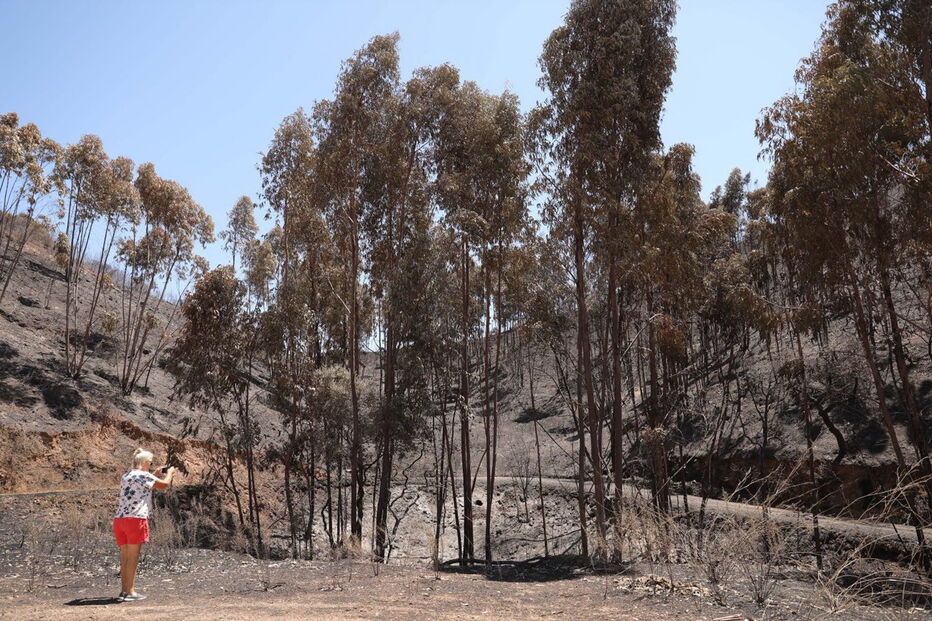 7º dia de incêndio em Monchique 