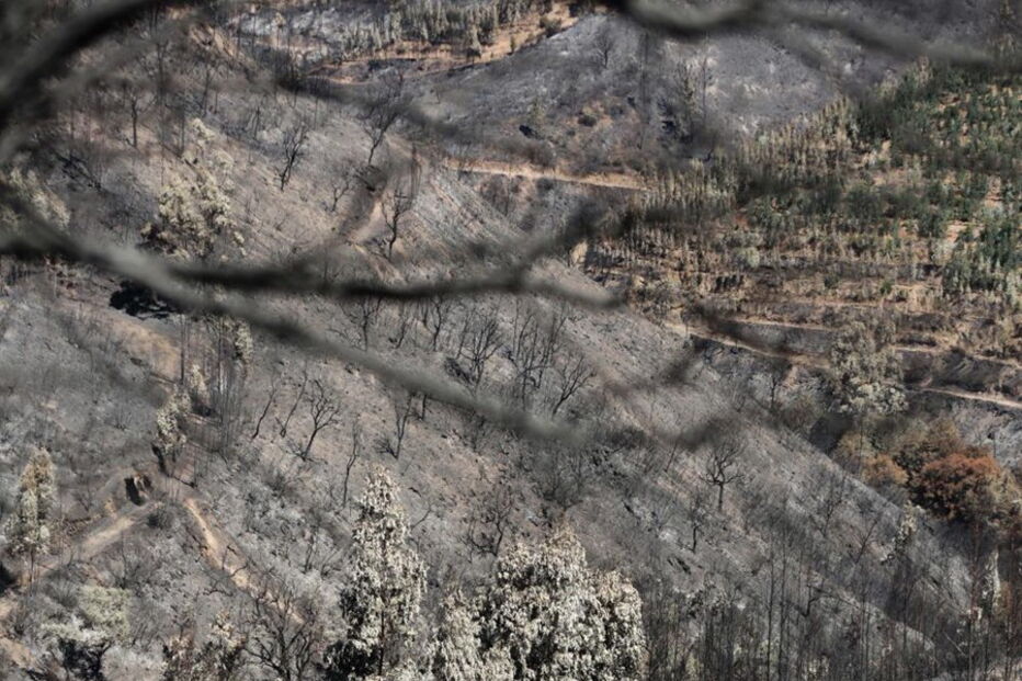 7º dia de incêndio em Monchique 