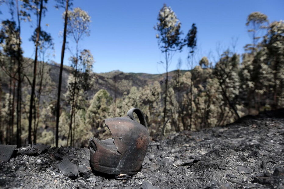 7º dia de incêndio em Monchique 