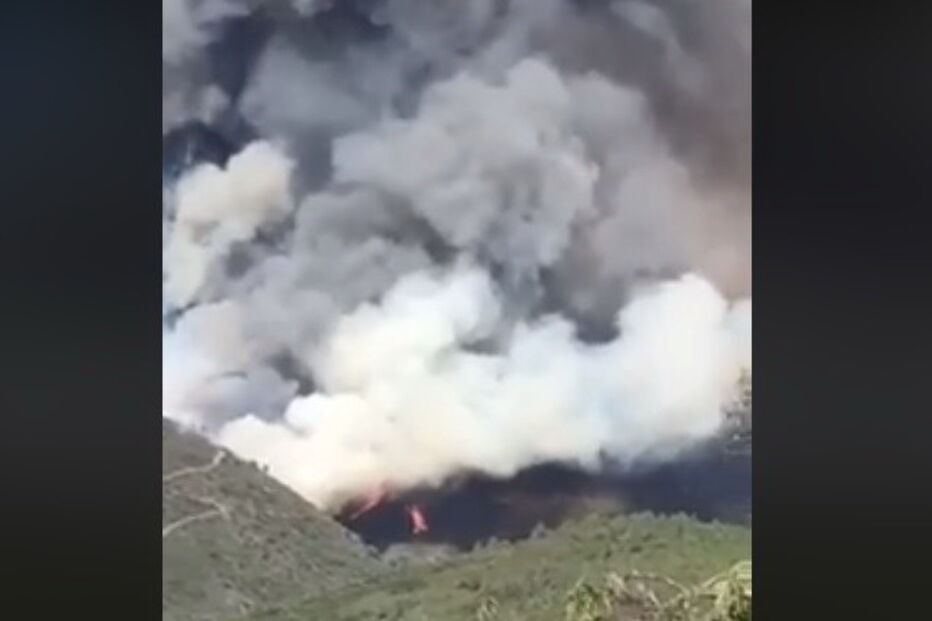 Incêndio em Vinhais sofre reativação esta quinta-feira