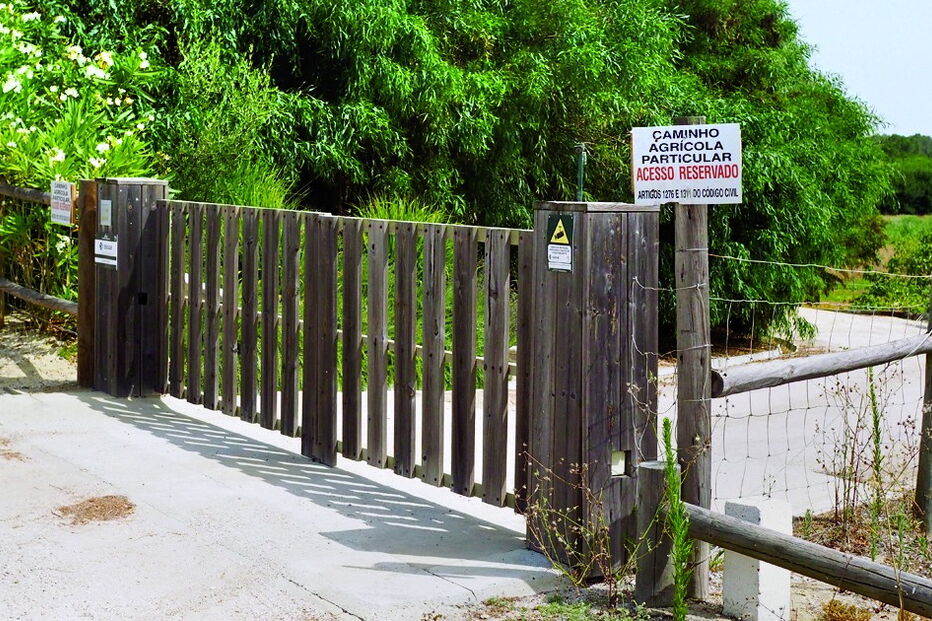 O caminho agrícola utilizado pela família Espírito Santo 