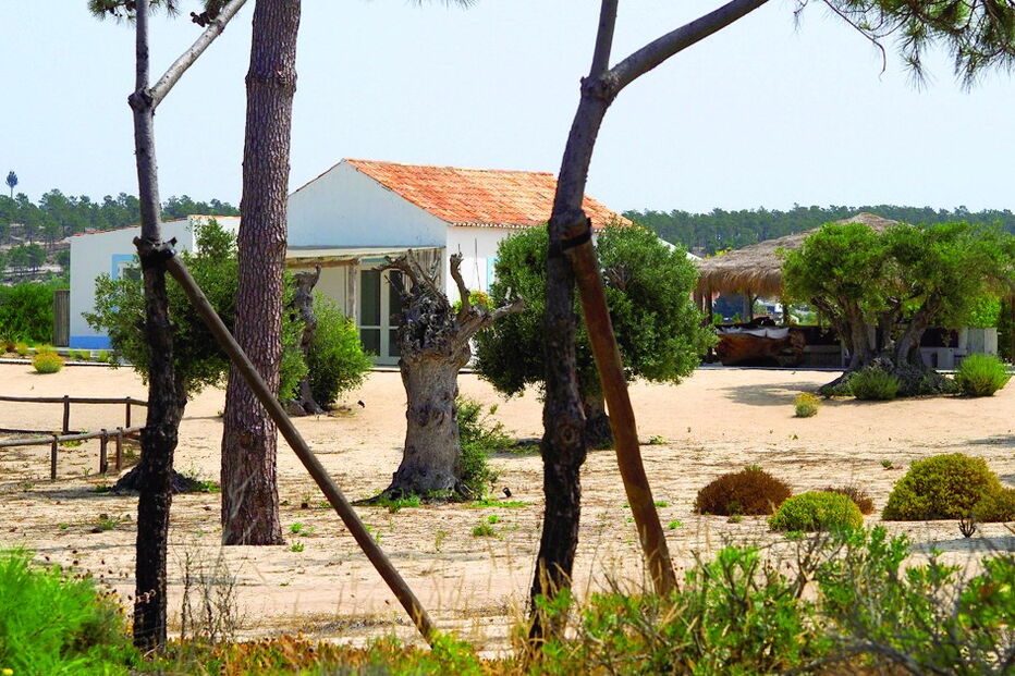 Casa de 11 assoalhadas na Comporta foi adquirida em 2013