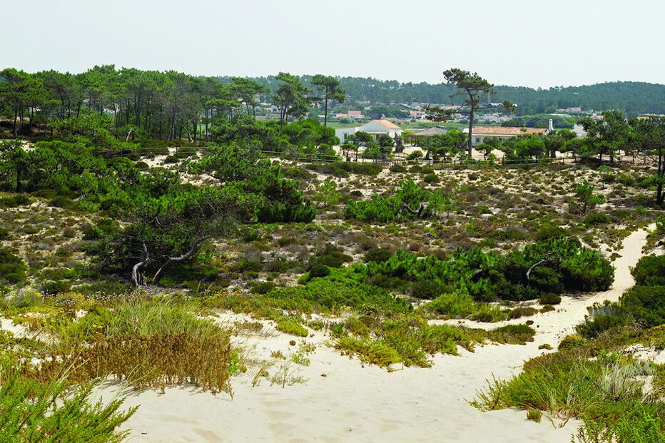 Um dos trilhos usados pela família 