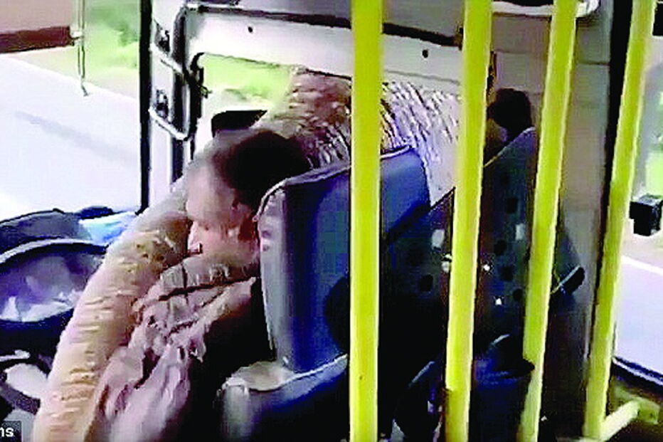 Elefante rouba bananas e assusta condutor no Sri Lanka