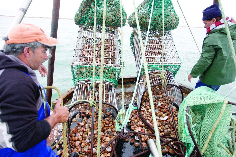 Pesca da ganchorra está proibida há mais de três meses e os pescadores não têm rendimentos  