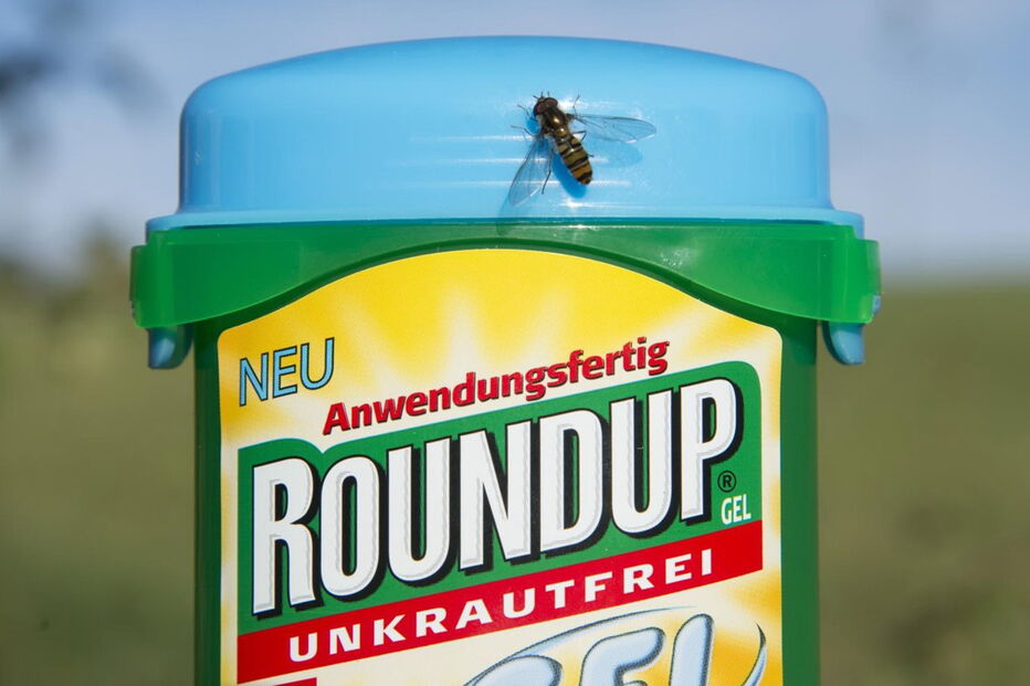 Monsanto paga 253 milhões por não informar sobre perigo de herbicida