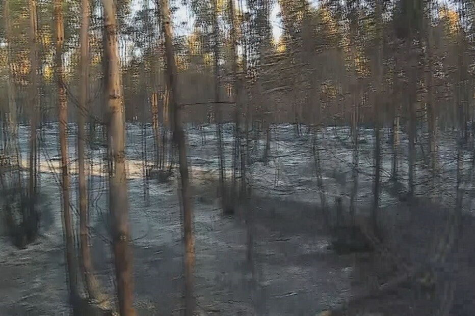 Incêndio no Montijo mobiliza 145 bombeiros 