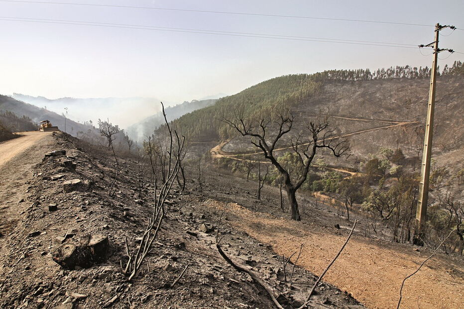 Local onde começou o fogo, na zona das Taipas, na serra de Monchique