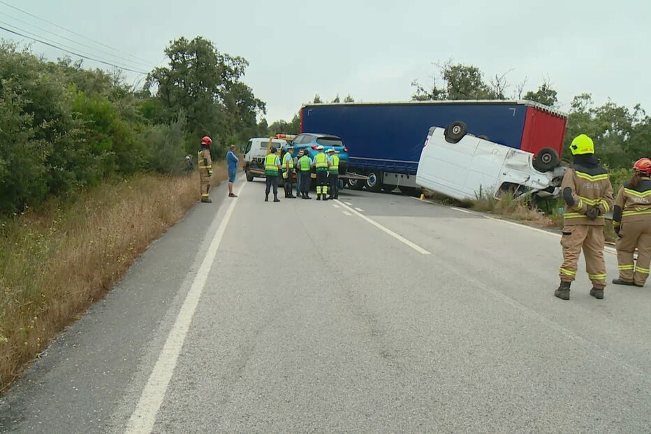 2018-08-13_09_23_23 014D64FF (1).jpg