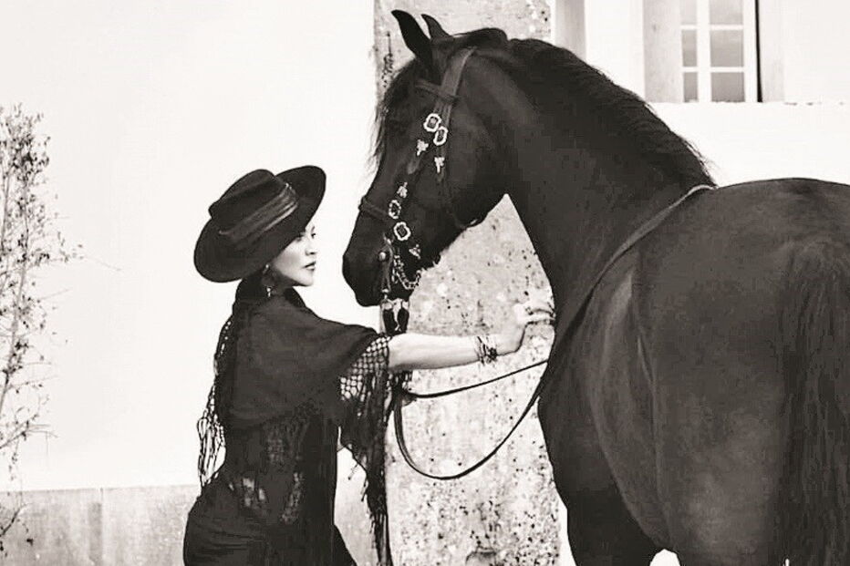 Madonna compra cavalos portugueses