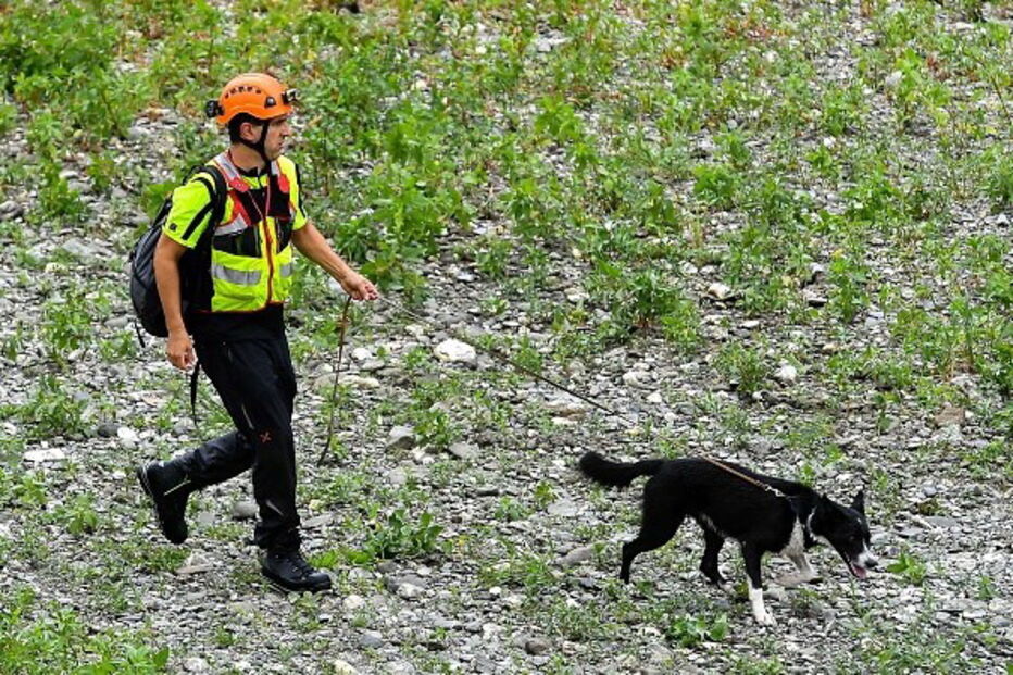 Heróis de quatro patas no resgate das vítimas da queda de ponte em Itália	