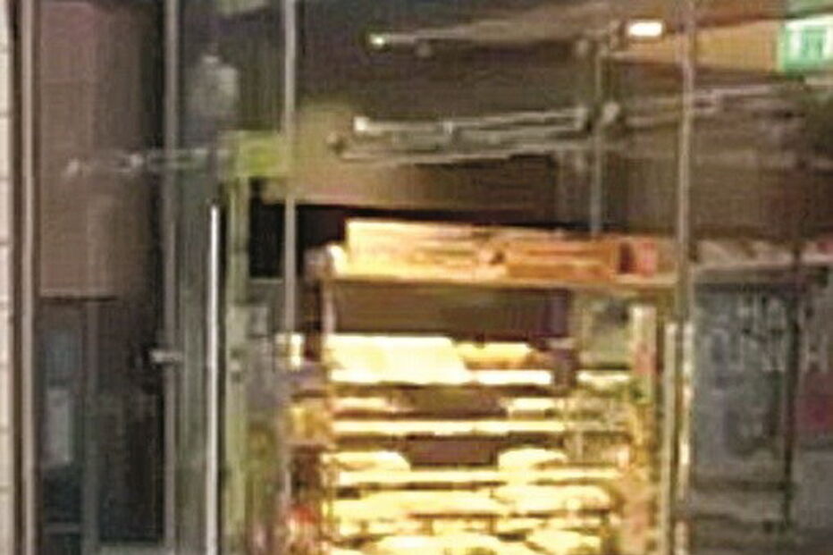 Gaivota atrevida rouba batatas fritas