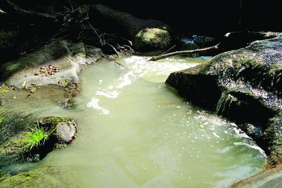Descargas poluentes no rio Vizela 