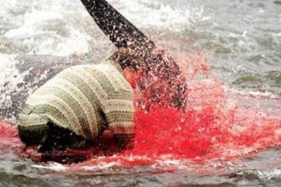 Matança consiste numa tradição levada a cabo há mais de cem anos