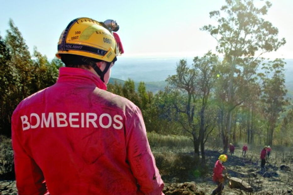 Bombeiros foram chamados  