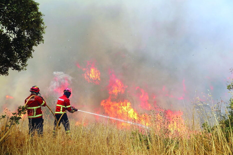 Distritos de Braga, Bragança, Guarda, Porto, Viana do Castelo, Vila Real e Viseu em alerta máximo até amanhã 