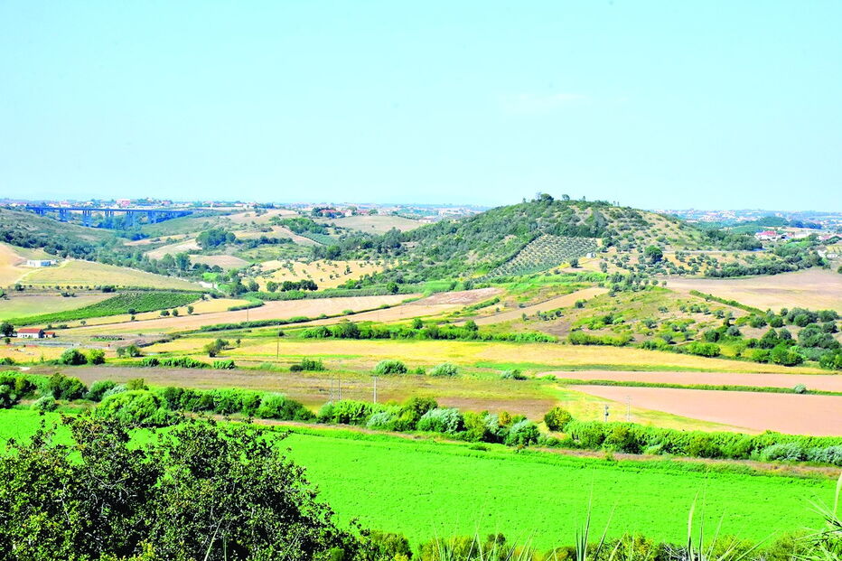 Donos dos terrenos terão sido contactados pelos promotores do projeto, de forma a serem instalados os painéis 