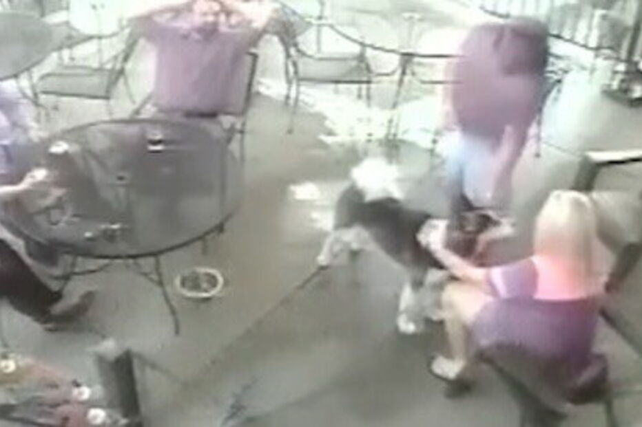 Ex-modelo precisa de cirurgia estética após ser mordida por cão