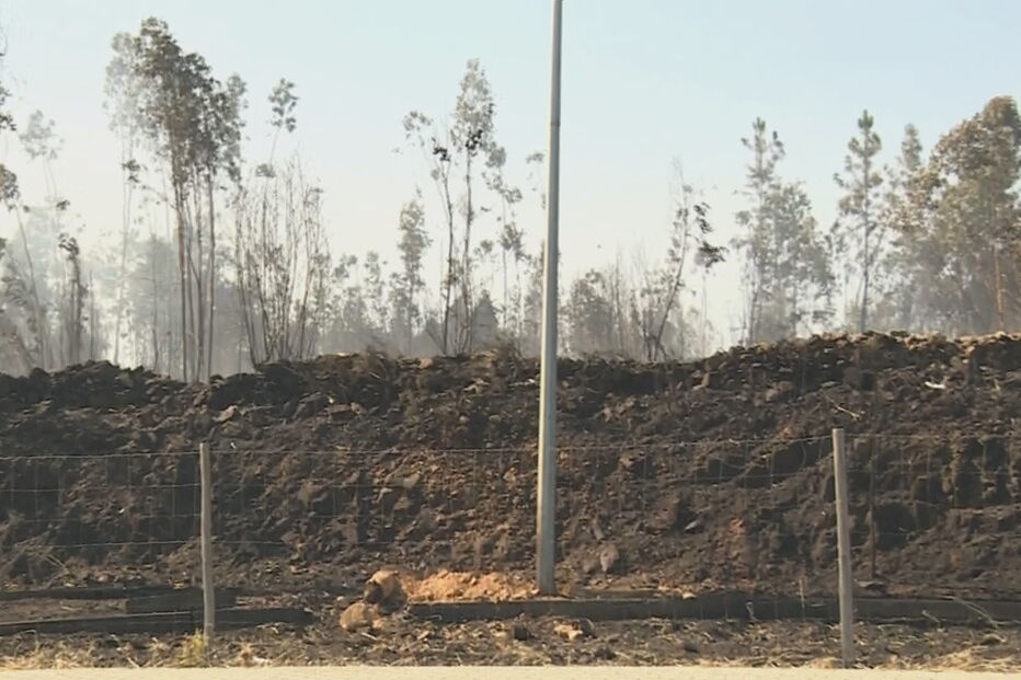 Incêndio em zona industrial ameaça fábrica em Famalicão
