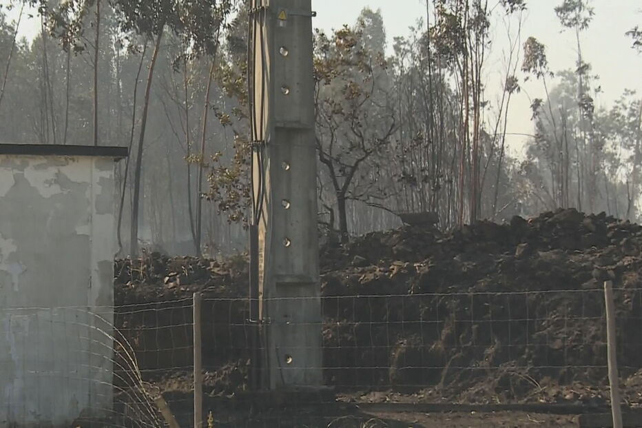 Incêndio em zona industrial ameaça fábrica em Famalicão