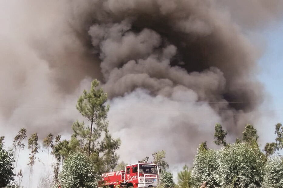 Chamas deflagraram ontem numa área florestal próxima da zona industrial de Lousado, em Vila Nova de Famalicão